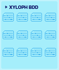 Fichier:Xyloph BDD complétée.png